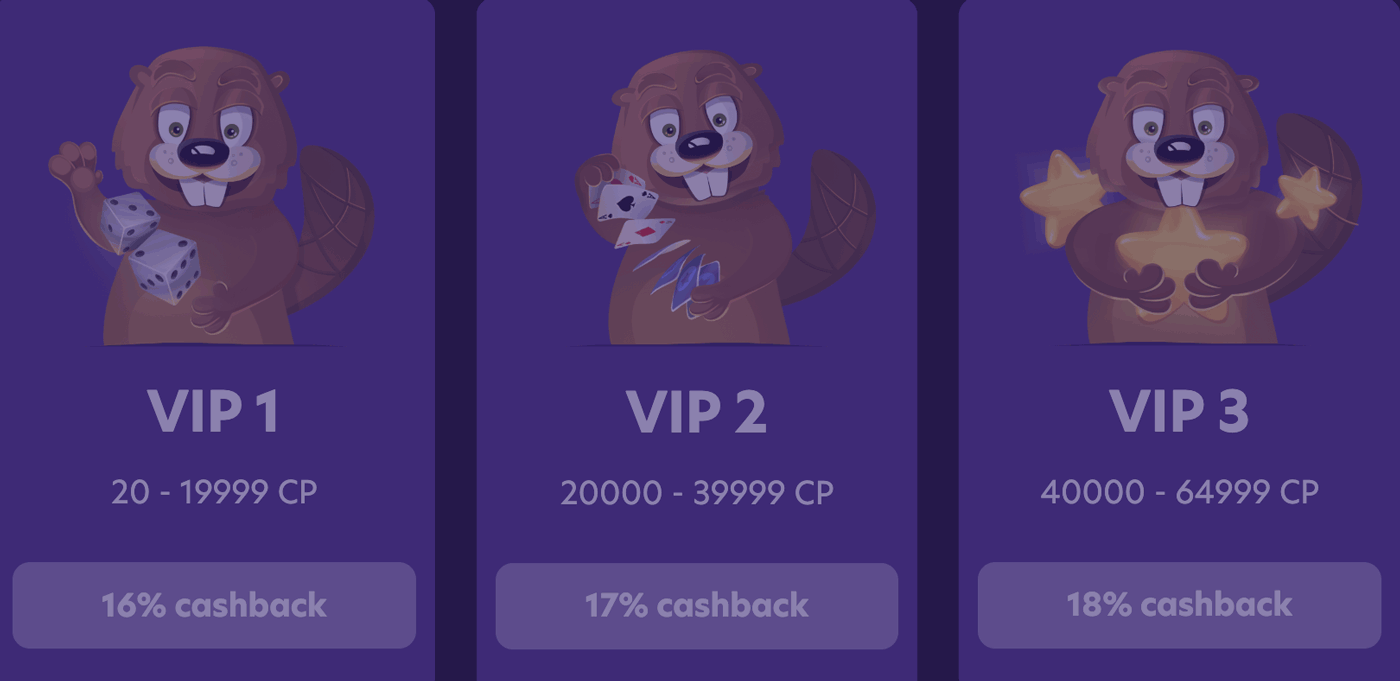 bingo bonga casino vip