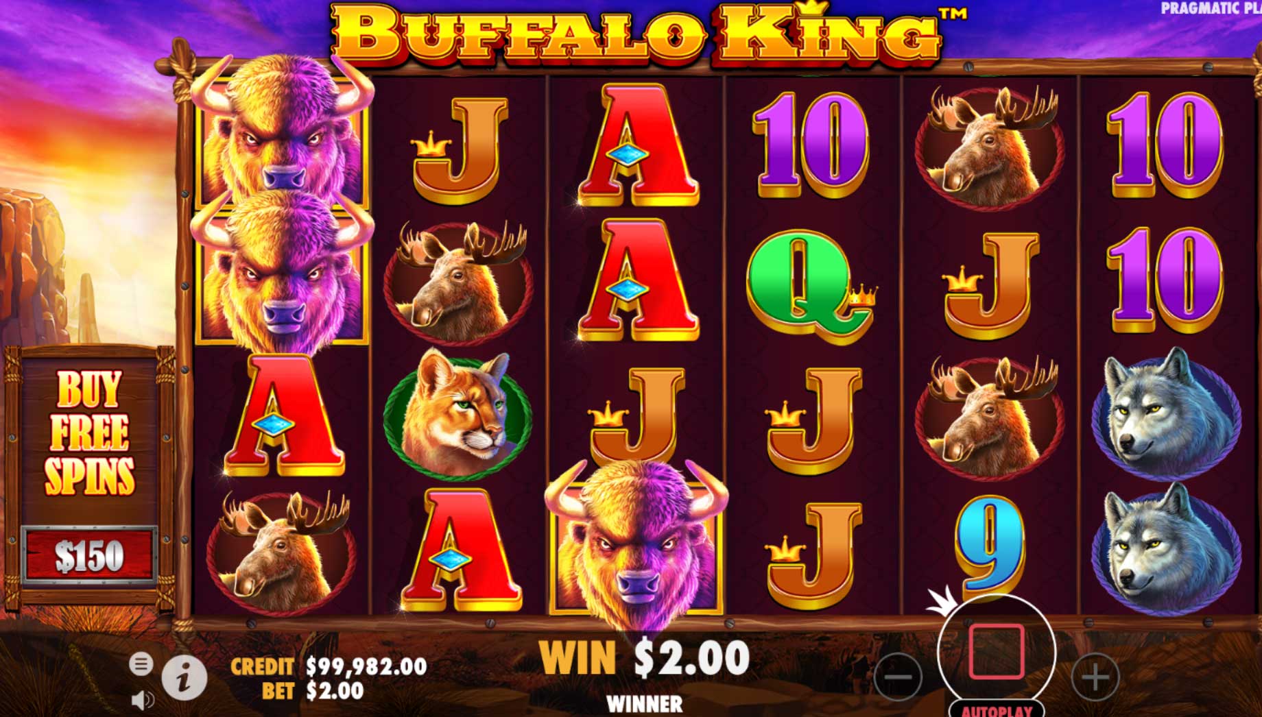 buffalo king slot