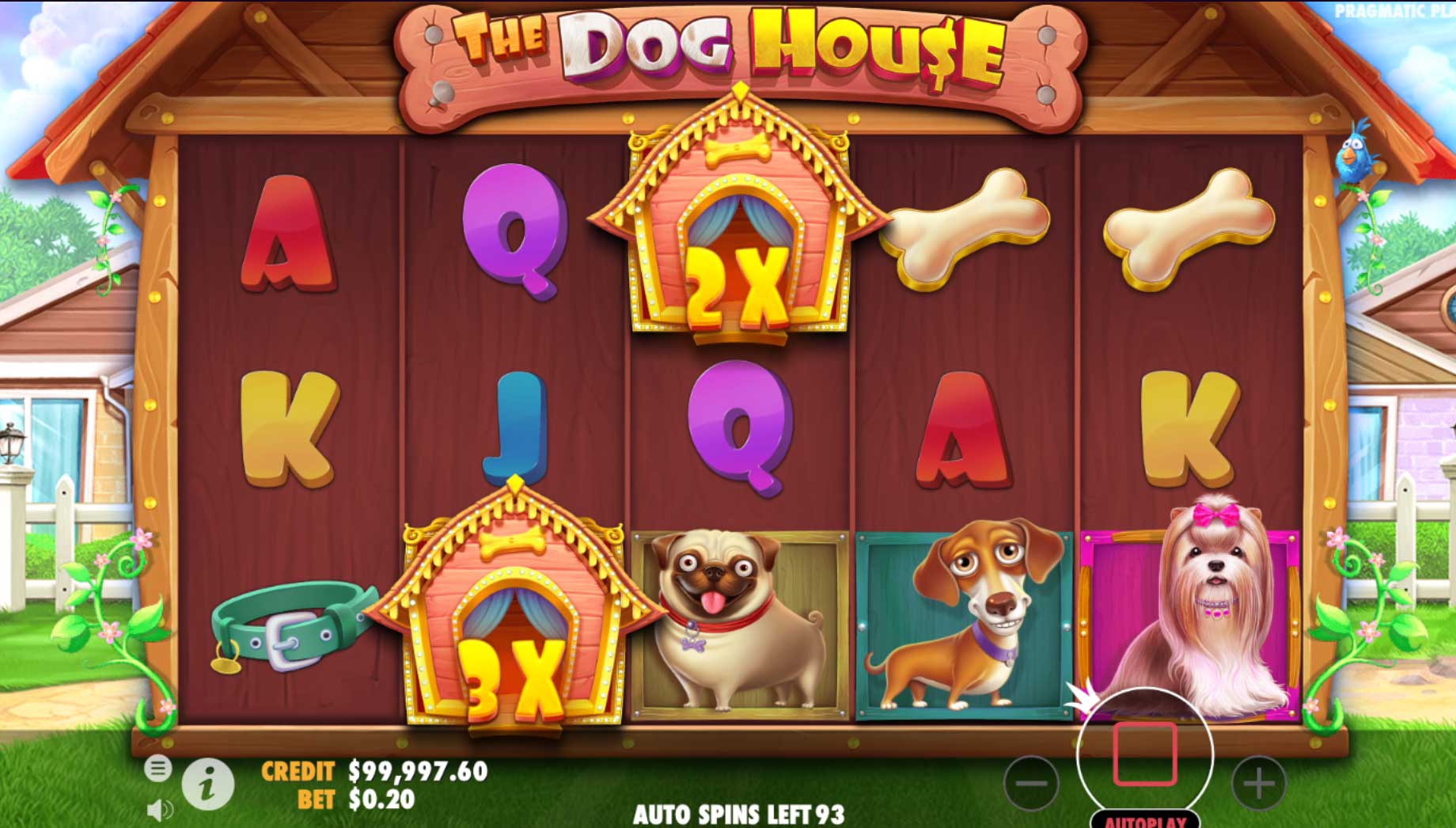 dog house slot